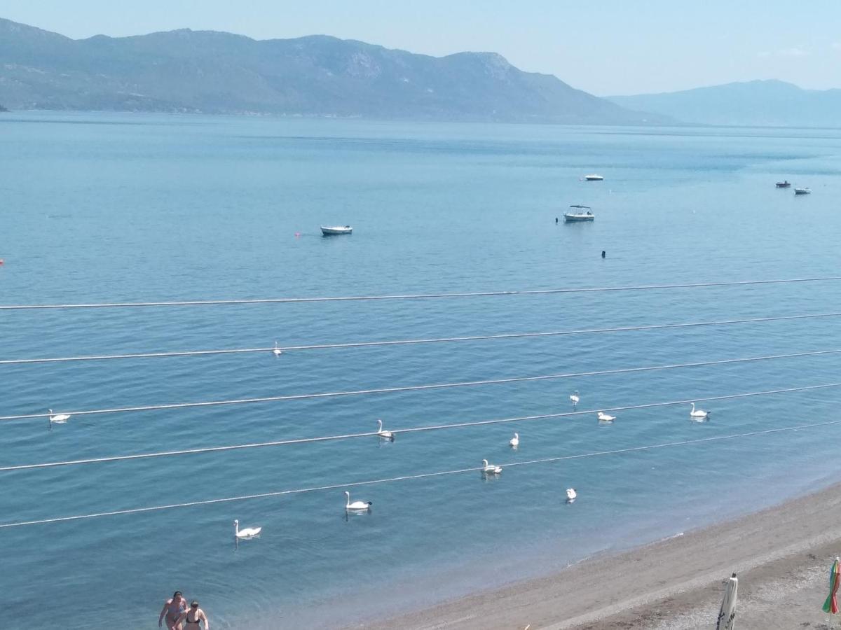 Mare E Monti1 Apartment