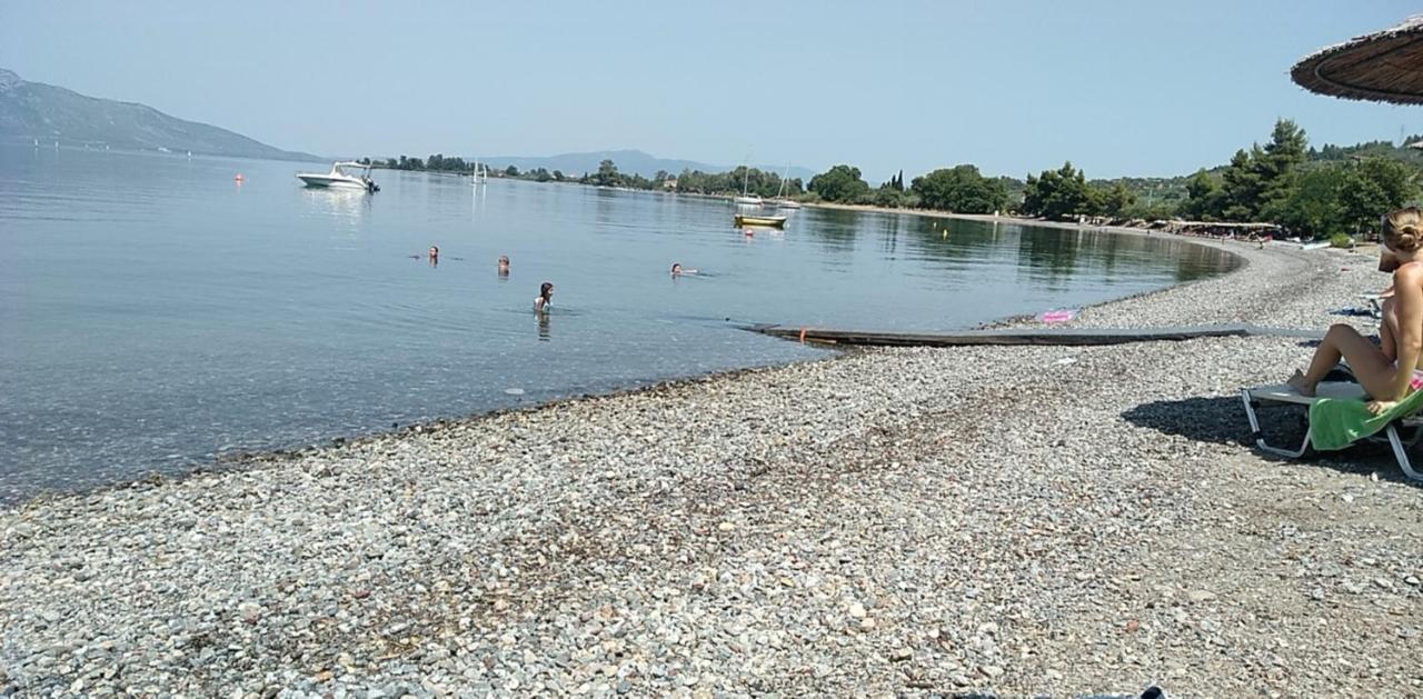 Mare E Monti1 Apartment