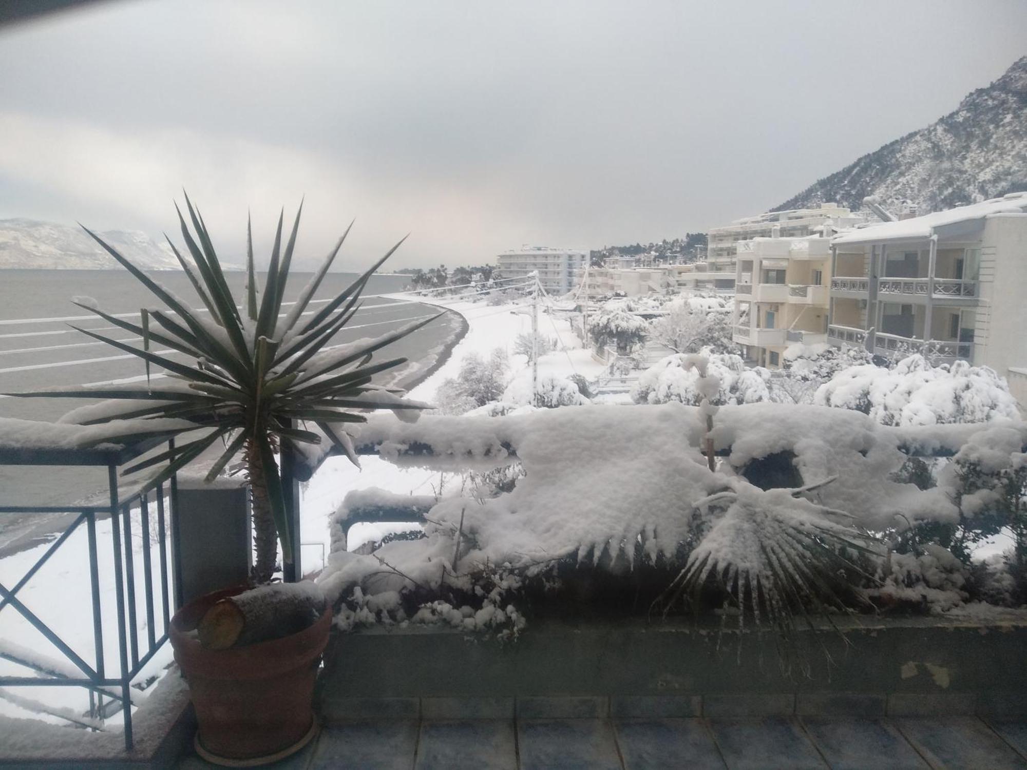 Mare E Monti1 Apartment