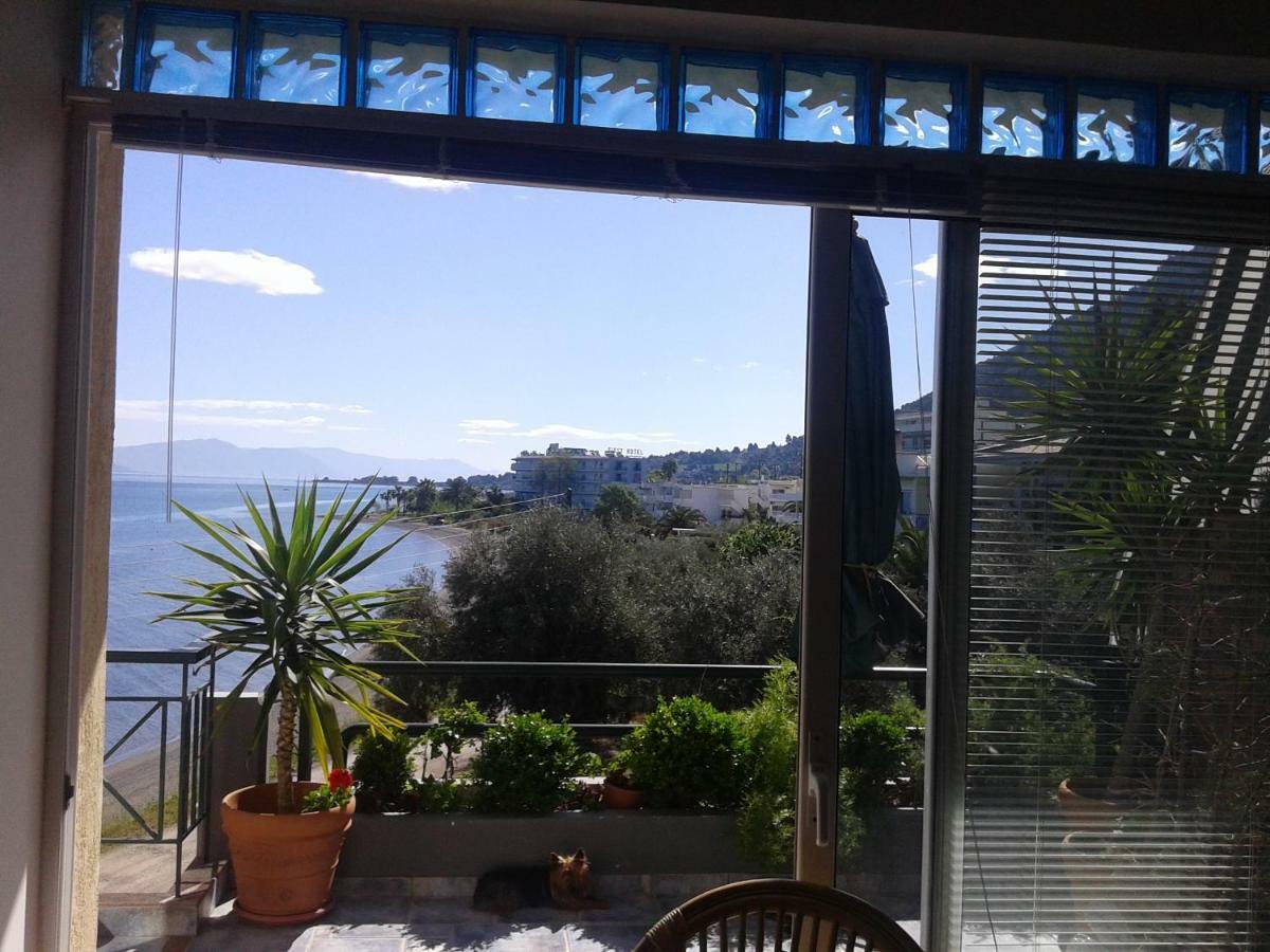 Mare E Monti1 *